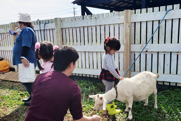 イメージ：その他	親子イベント